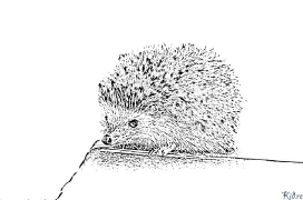 hedgehog Maimprinta Nga Mga Panid Sa Kolor